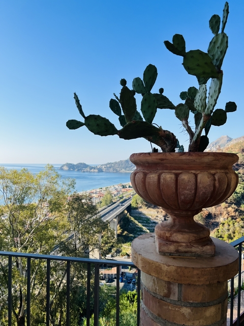 Scenic view of coastline with potted plant in the foreground.