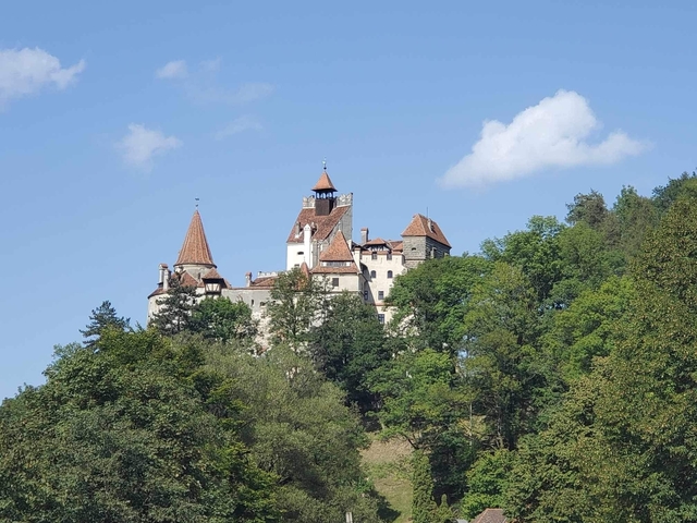       Castle on top of a hill surrounded by trees.
  