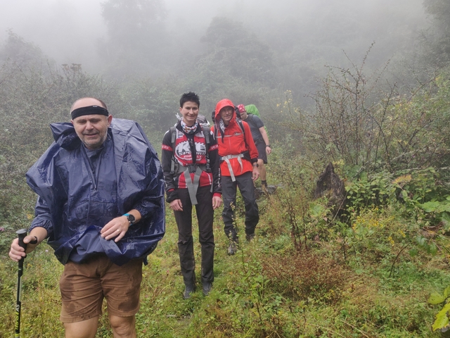 Group of people hiking in a misty forest.