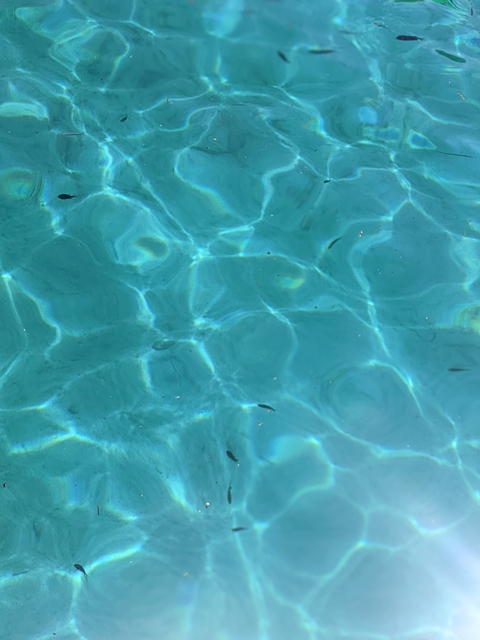 Close-up of clear blue water with sunlight reflections.
