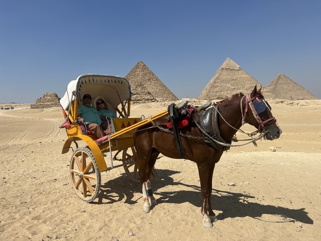       Couple in a horse-drawn carriage with the Pyramids of Giza in the background.
  