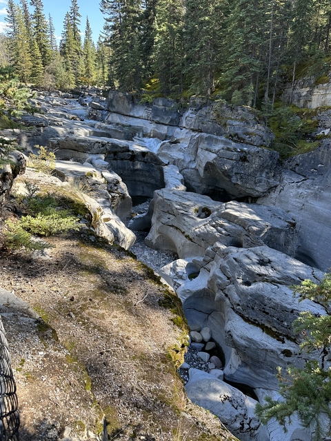       Stone formations in a canyon with sparse vegetation.
  