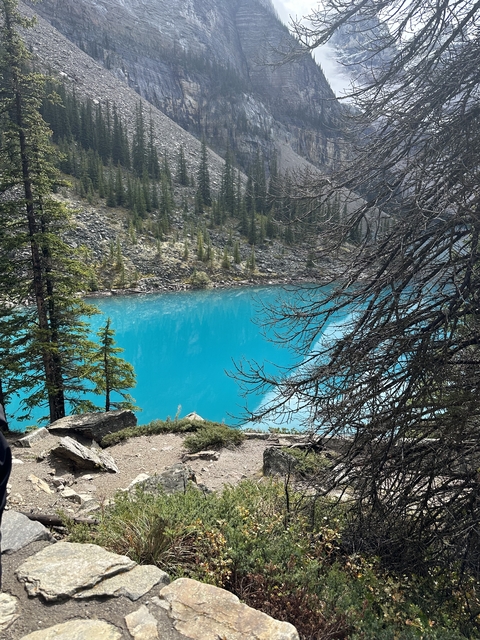 View of a blue lake surrounded by rocky terrain and trees.