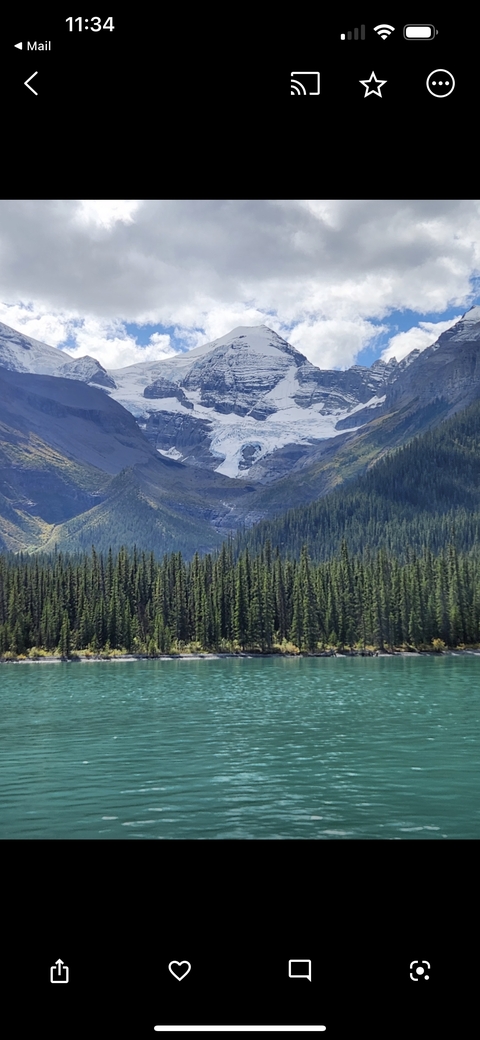       Forest with distant mountains covered in snow.
  