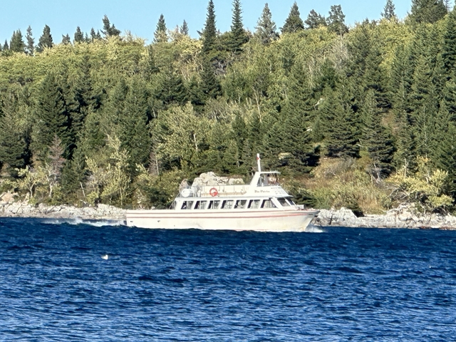 Boat cruising on a lake with forest backdrop.