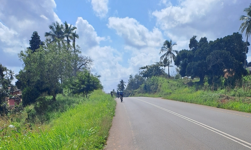 Cyclists on a road surrounded by lush greenery.