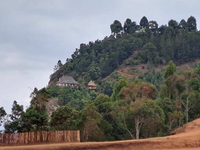       House nestled on a hill with dense forest surroundings.
  