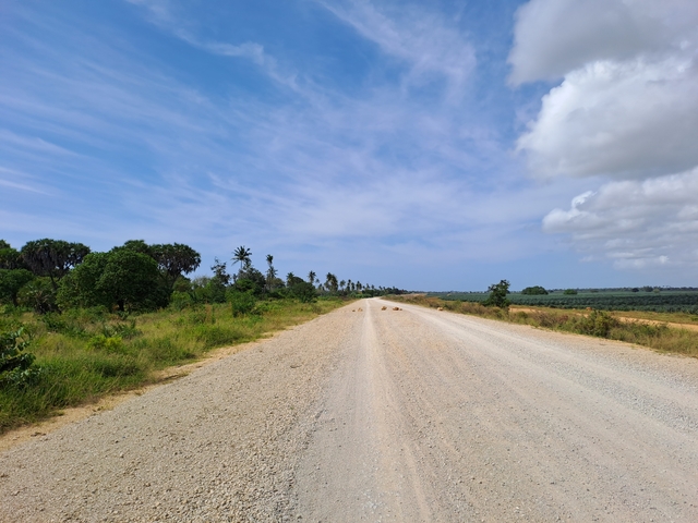 A long dirt road with greenery under a bright sky.