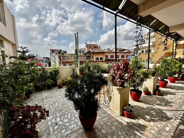       Rooftop terrace with potted plants and a view of the city.
  
