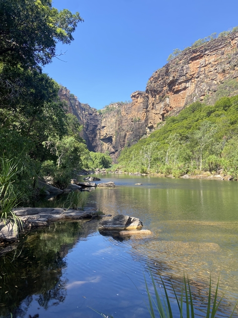 Scenic river in a green canyon environment.