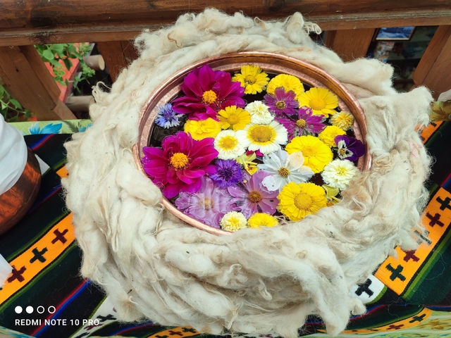       Bowl of colorful flowers surrounded by wool.
  