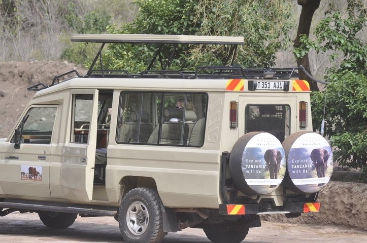       Safari vehicle with open roof parked near trees.
  