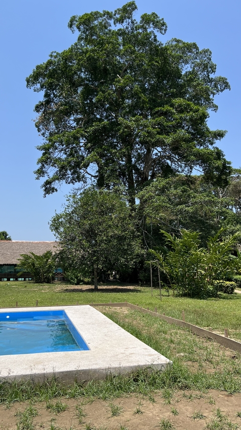 Lodge surrounded by dense forest.