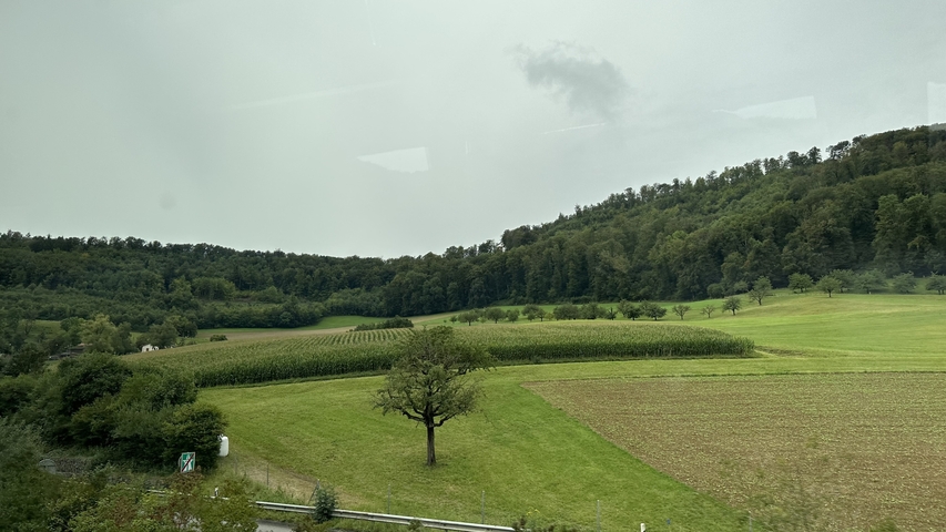       Rolling green hills under a cloudy sky.
  