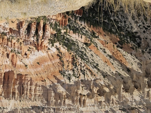 Bryce Canyon's unique rock formations and colors.
