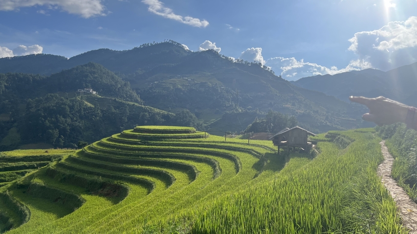       Scenic view of rice terraces in a hilly landscape with a person pointing.
  