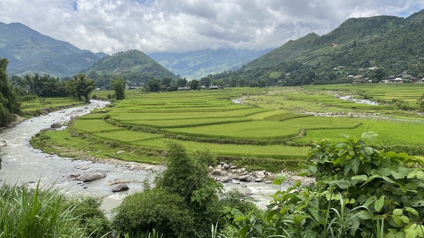       Green rice fields with a river and mountainous backdrop.
  