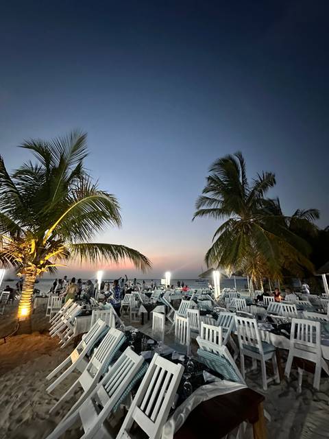 Beach setting with palm trees and chairs at sunset.