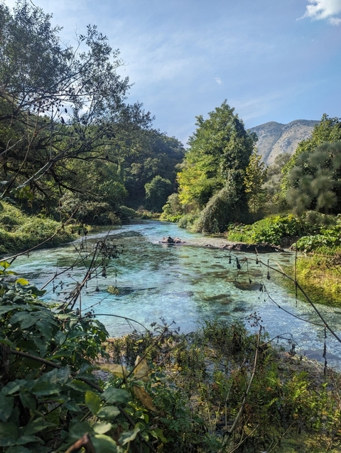 A tranquil, clear river flowing through a lush green forest.