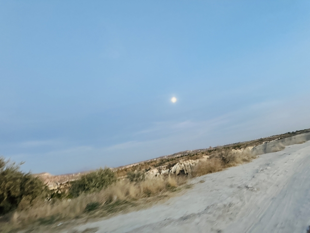       Blurry landscape with a full moon in the sky.
  