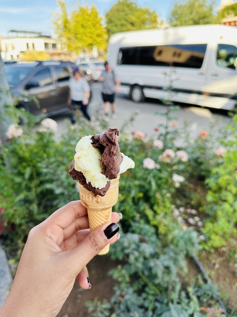       Hand holding an ice cream cone with cars and flowers in the background.
  