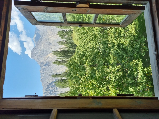 View of a mountain through an open window, surrounded by greenery.