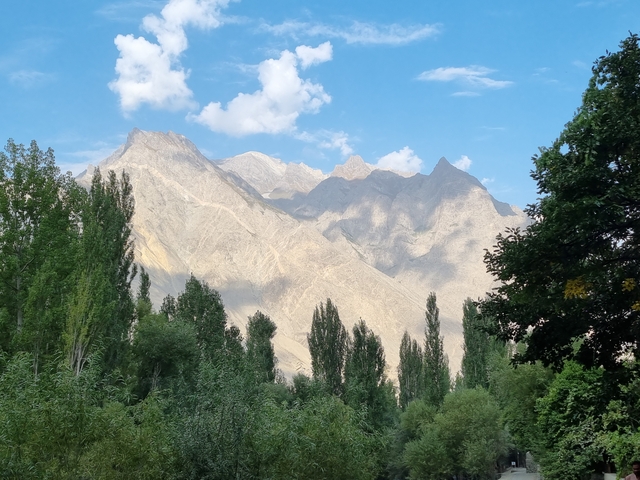 Mountain range with trees in the foreground under a clear blue sky.