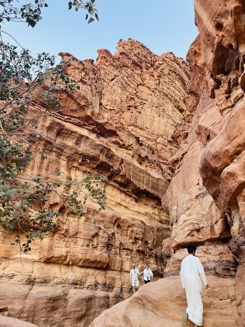       Rocky canyon landscape with a few branches.
  