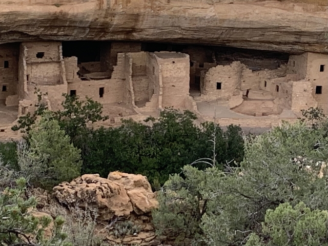Ancient cliff dwellings built into a rock face with some greenery in the foreground.