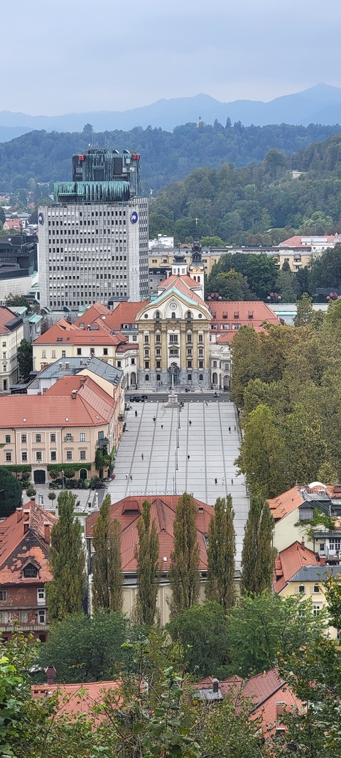 Aerial view of a historical square with classic architecture.