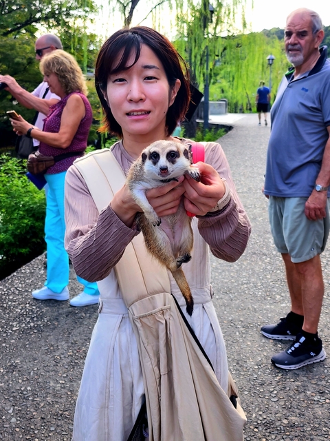 Person holding a small animal on a street.