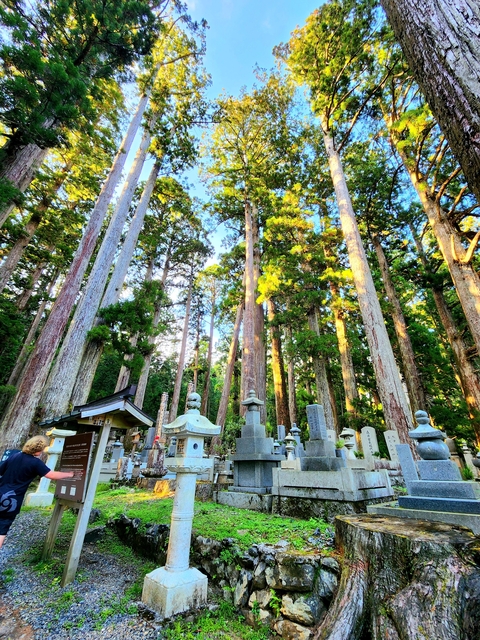 Tall trees and ancient gravestones.
