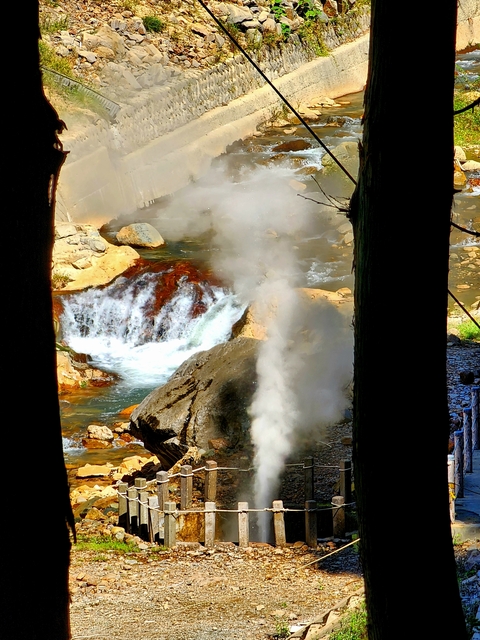 Hot springs with steam and natural surroundings.
