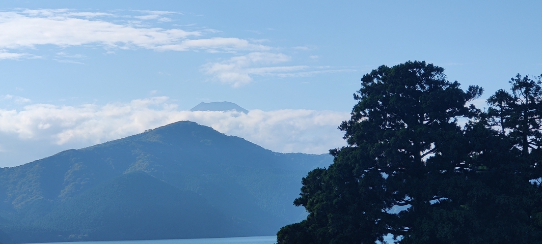Mountain view with a tree in the foreground and a mountain peak.