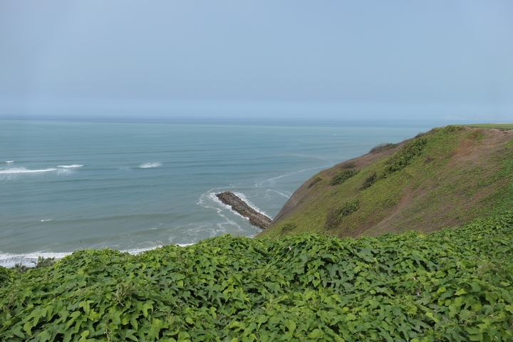       View of the ocean from a lush green hillside.
  