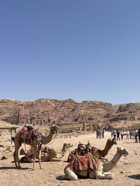 Petra, Jordan with camels in the foreground and ancient rock-cut architecture.