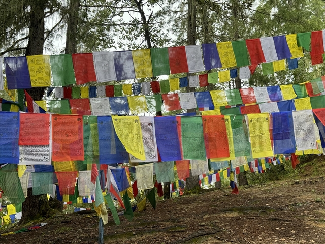 Colored prayer flags hanging in the forest.