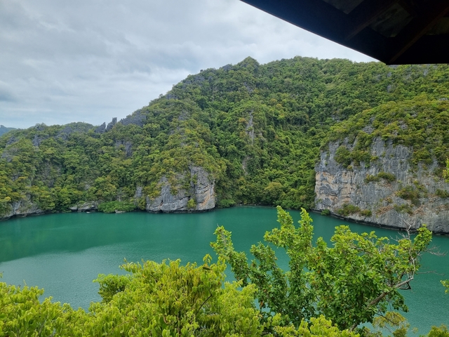 Lush green lagoon surrounded by cliffs.