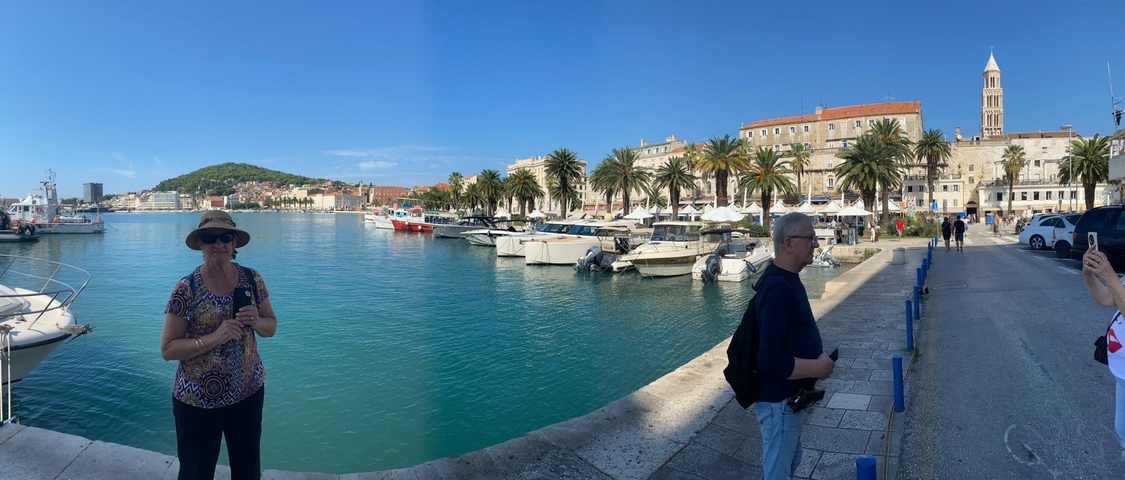People enjoying a sunny day by a harbor with boats and palm trees.