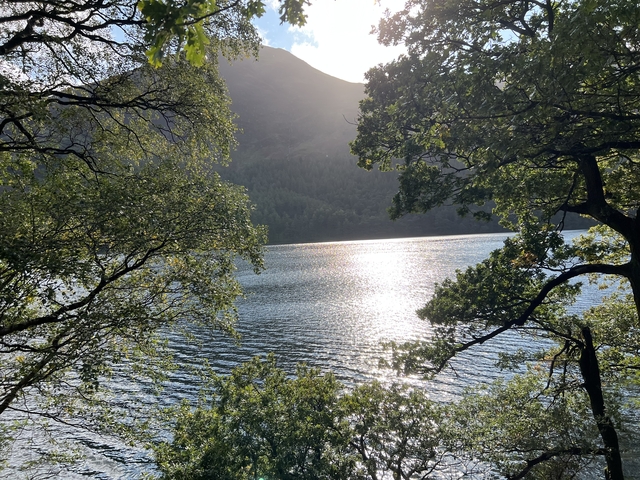 Sunlight reflecting off a lake framed by trees.