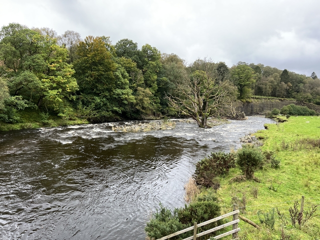 River flowing through a lush green landscape.
