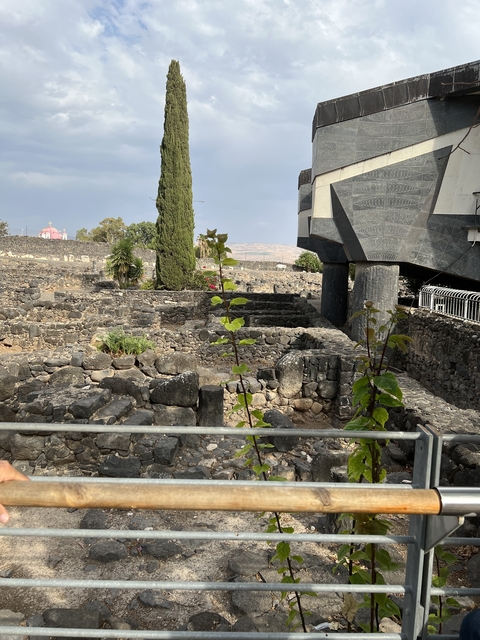       Ancient ruins with stone pathways and some foliage.
  