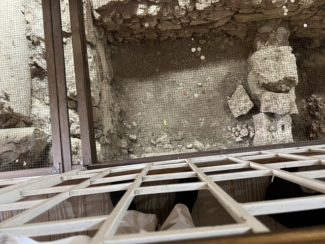       Archaeological site viewed through a grid or mesh.
  