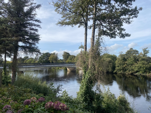 A serene riverside view with a bridge and surrounding greenery.