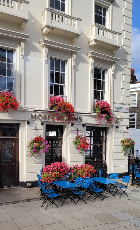       Building facade with vibrant flowers in baskets.
  