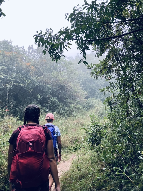       Two hikers walking through a misty forest trail.
  