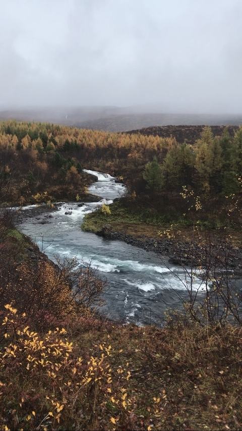 Klantbeoordelingsfoto van De ultieme roadtrip rond IJsland - zelfrijdend over de Ring Road - 11 dagen 