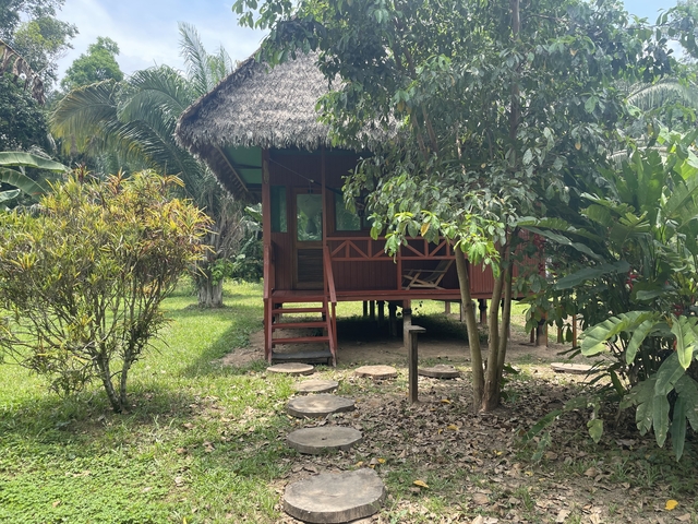 Traditional wooden hut surrounded by lush vegetation.