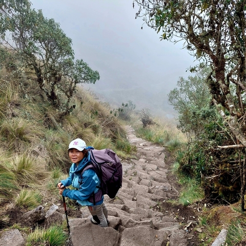       Hiker on a misty trail in a mountainous region.
  