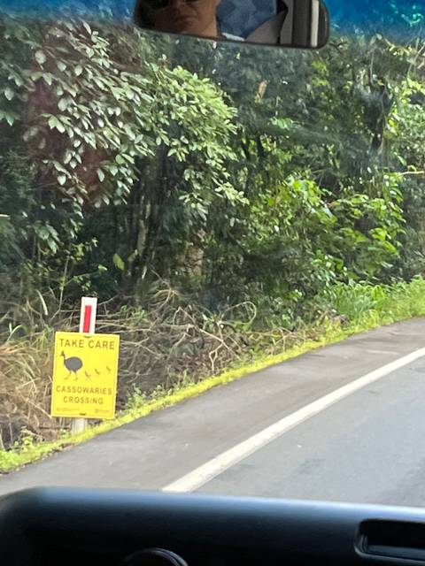 A road sign indicating possum crossing with forest surroundings.